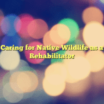 Caring for Native Wildlife as a Rehabilitator